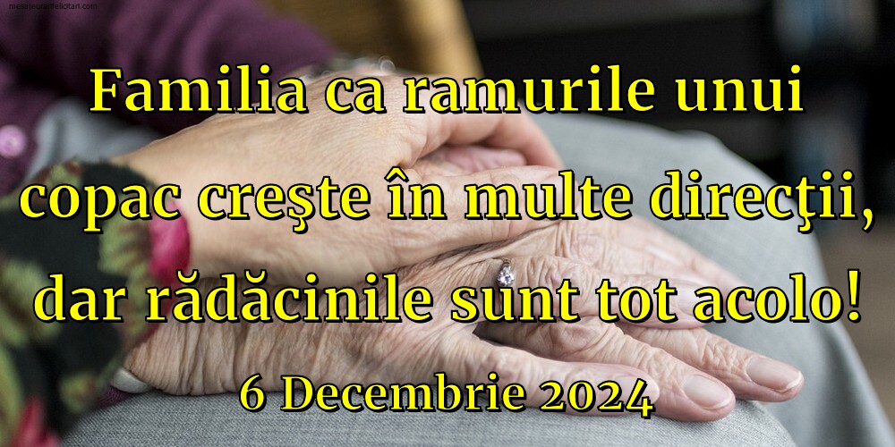 Familia ca ramurile unui copac creşte în multe direcţii, dar rădăcinile sunt tot acolo! 6 Decembrie 2024