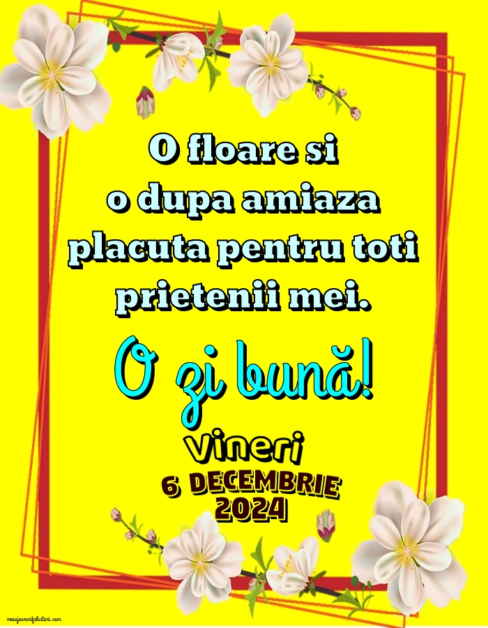 O floare si o dupa amiaza placuta pentru toti prietenii mei. Vineri 6 Decembrie 2024