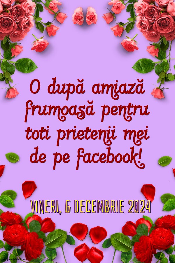 Vineri 6 Decembrie 2024 O după amiază frumoasă pentru toti prietenii mei de pe facebook!