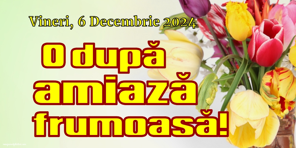 Vineri 6 Decembrie 2024 O după amiază frumoasă!