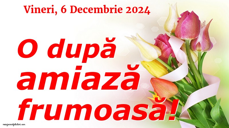 Vineri 6 Decembrie 2024 O după amiază frumoasă!