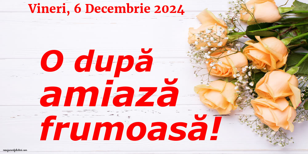 Vineri 6 Decembrie 2024 O după amiază frumoasă!