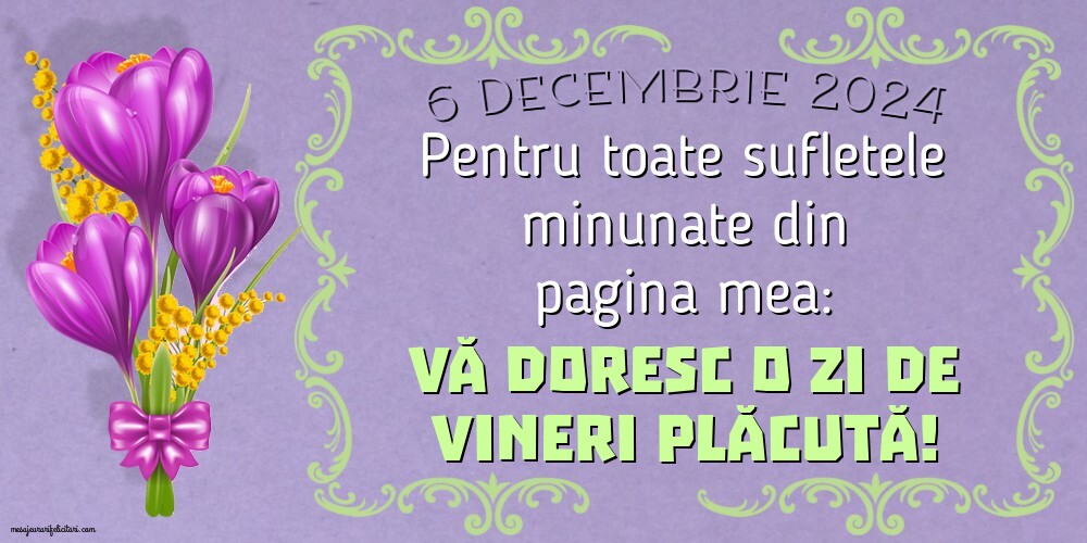 6 Decembrie 2024 Pentru toate sufletele minunate din pagina mea: Vă doresc o zi de Vineri plăcută!