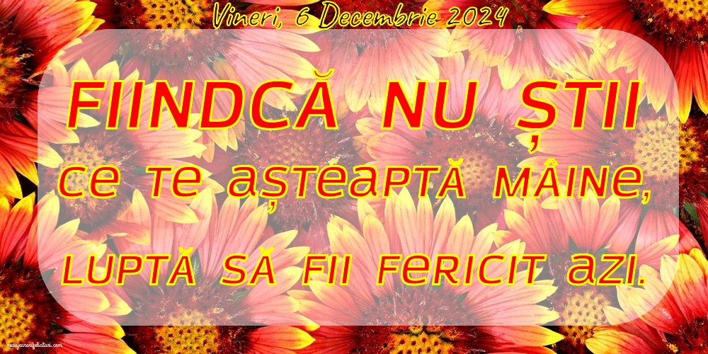 Vineri 6 Decembrie 2024 Fiindcă nu știi ce te așteaptă mâine, luptă să fii fericit azi.