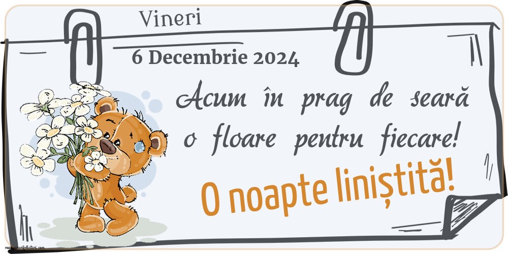 Vineri 6 Decembrie 2024 Acum în prag de seară o floare pentru fiecare! O noapte liniștită!