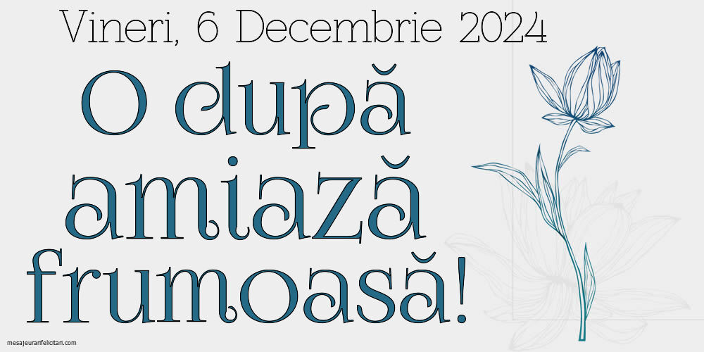 Vineri 6 Decembrie 2024 O după amiază frumoasă!