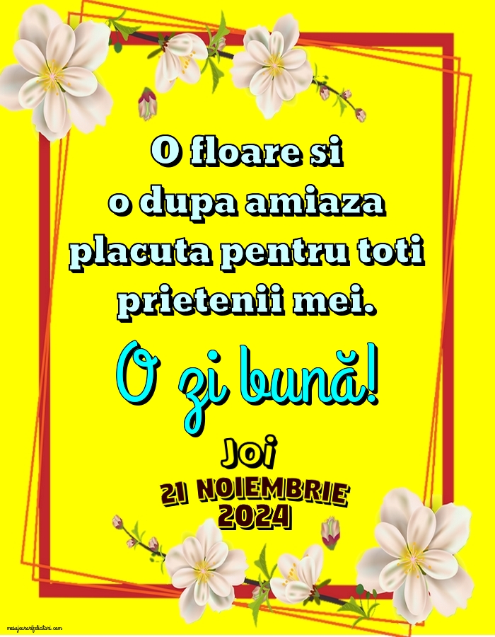 O floare si o dupa amiaza placuta pentru toti prietenii mei. Joi 21 Noiembrie 2024