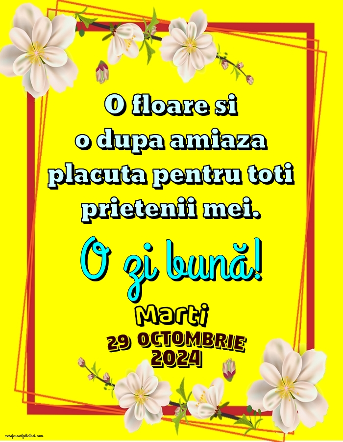 O floare si o dupa amiaza placuta pentru toti prietenii mei. Marti 29 Octombrie 2024