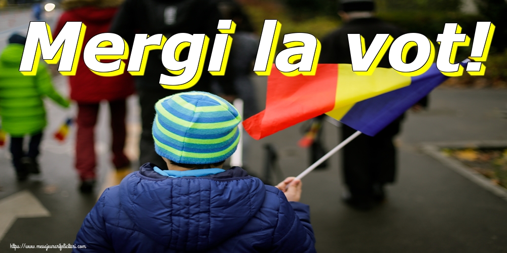 Mergi la vot!