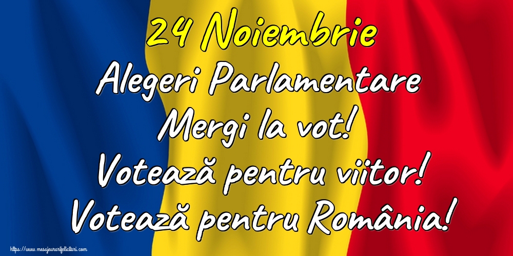 24 Noiembrie Alegeri Parlamentare Mergi la vot! Votează pentru viitor! Votează pentru România!