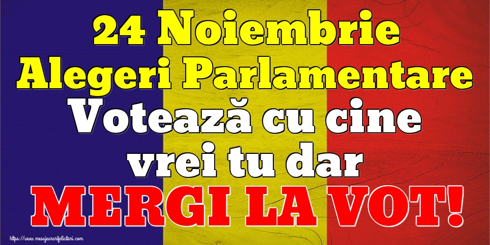 24 Noiembrie Alegeri Parlamentare Votează cu cine vrei tu dar MERGI LA VOT!