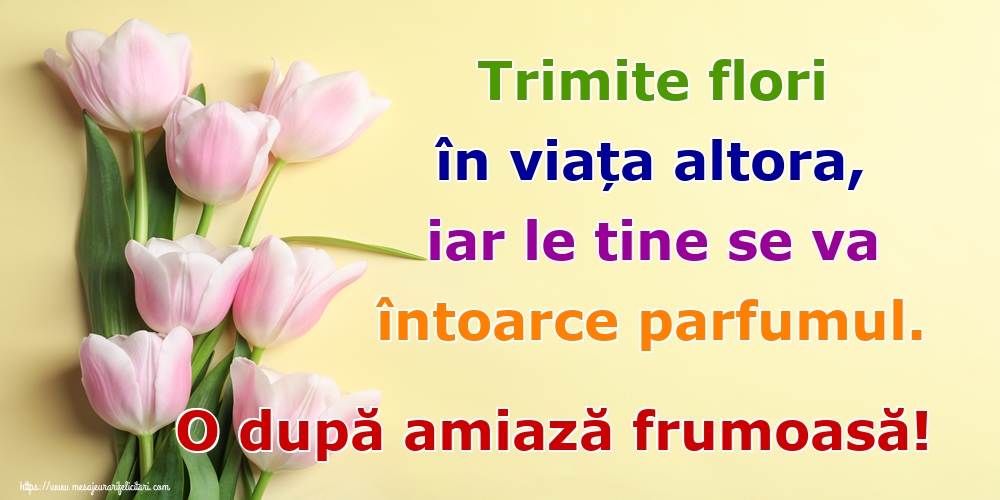 Amiaza - Trimite flori în viața altora, iar le tine se va întoarce parfumul. O după amiază frumoasă!