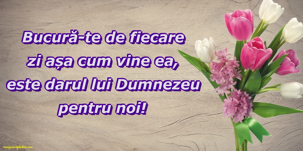 Amiaza - Bucură-te de fiecare zi așa cum vine ea