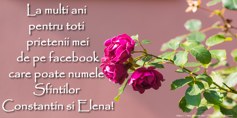 Sfintii Constantin si Elena La multi ani pentru toti prietenii mei de pe facebook care poarta numele Sfintilor Constantin si Elena!