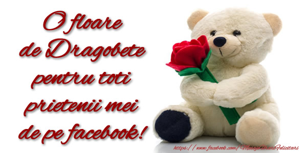 Dragobete O floare de Dragobete pentru toti prietenii mei de pe facebook!