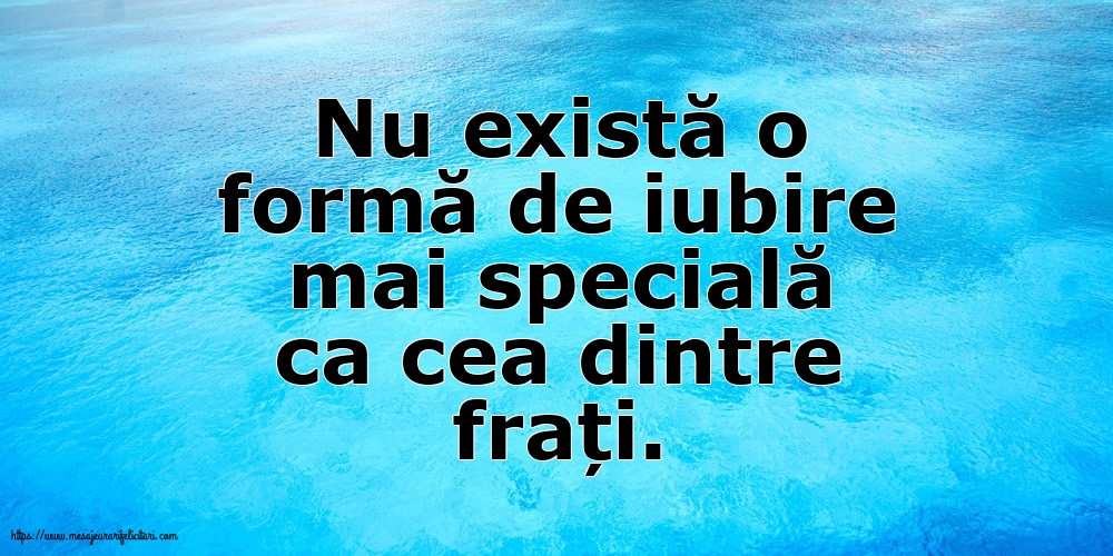 Nu există o formă de iubire mai specială ca cea dintre frați.