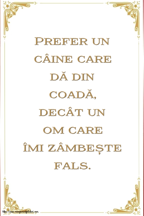 Imagini despre Familie - Prefer un câine care dă din coadă - mesajeurarifelicitari.com