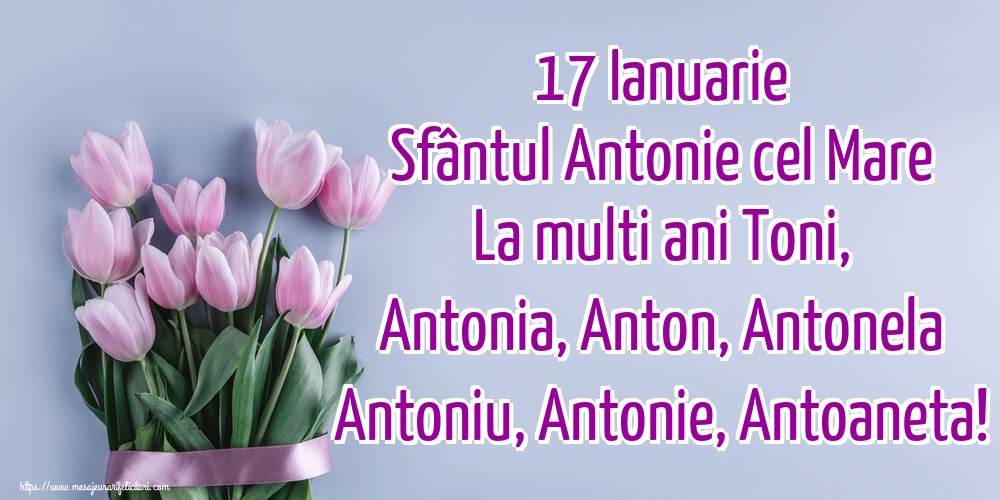 Sfantul Antonie cel Mare 17 Ianuarie Sfântul Antonie cel Mare La multi ani Toni, Antonia, Anton, Antonela Antoniu, Antonie, Antoaneta!