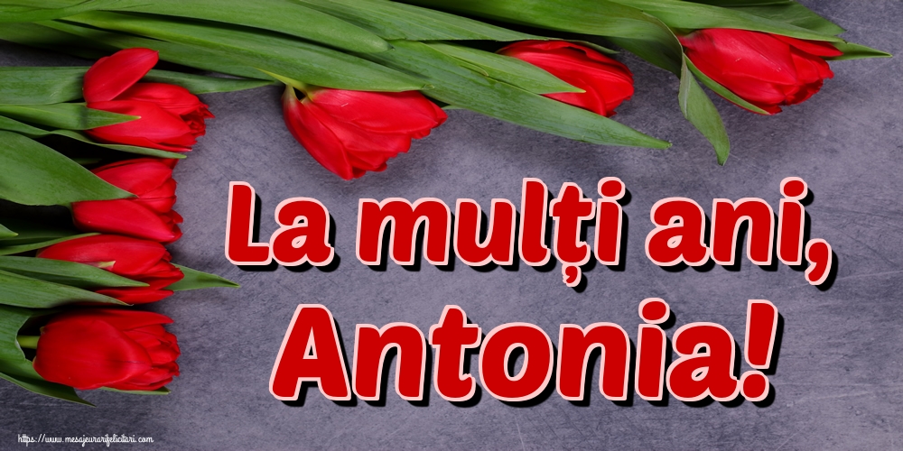 Sfantul Antonie cel Mare La mulți ani, Antonia!