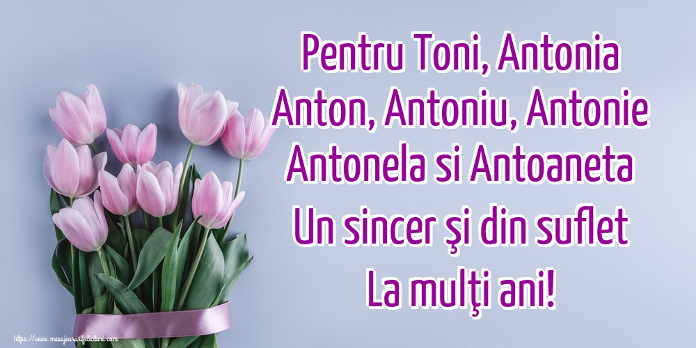 Sfantul Antonie cel Mare Pentru Toni, Antonia Anton, Antoniu, Antonie Antonela si Antoaneta Un sincer şi din suflet La mulţi ani!