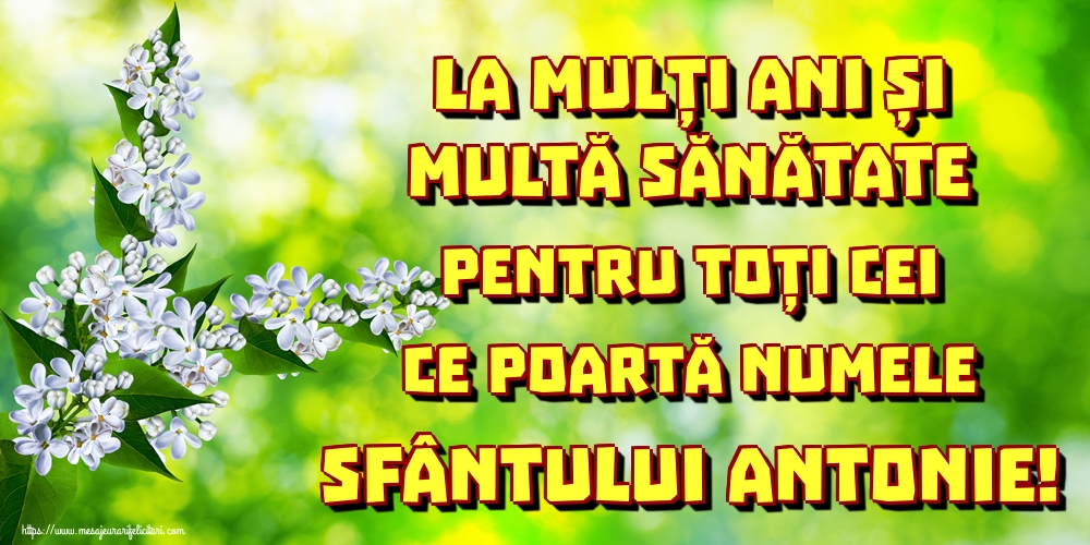 Felicitari de Sfantul Antonie cel Mare - La mulți ani și multă sănătate pentru toți cei ce poartă numele Sfântului Antonie! - mesajeurarifelicitari.com