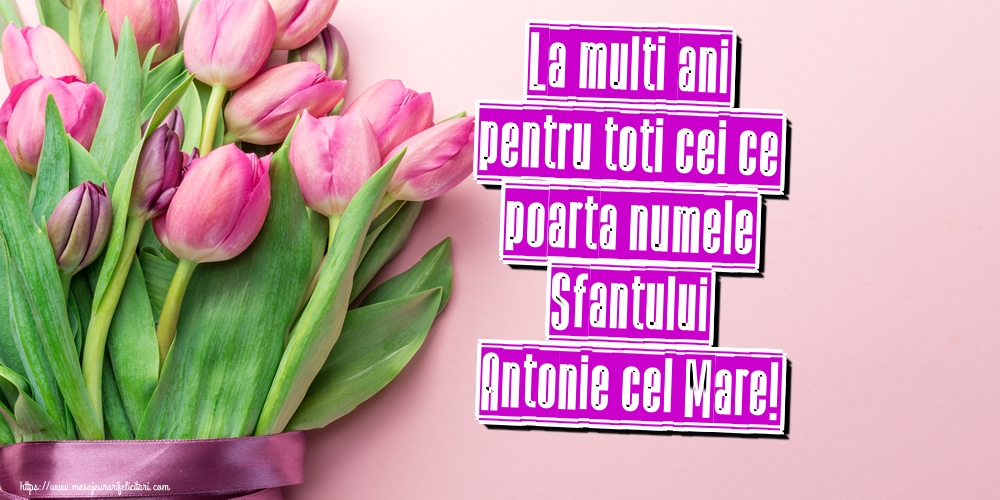 Felicitari de Sfantul Antonie cel Mare - La multi ani pentru toti cei ce poarta numele Sfantului Antonie cel Mare! - mesajeurarifelicitari.com