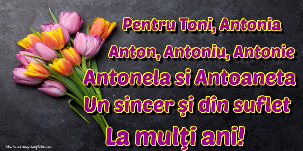 Felicitari de Sfantul Antonie cel Mare - Pentru Toni, Antonia Anton, Antoniu, Antonie Antonela si Antoaneta Un sincer şi din suflet La mulţi ani! - mesajeurarifelicitari.com