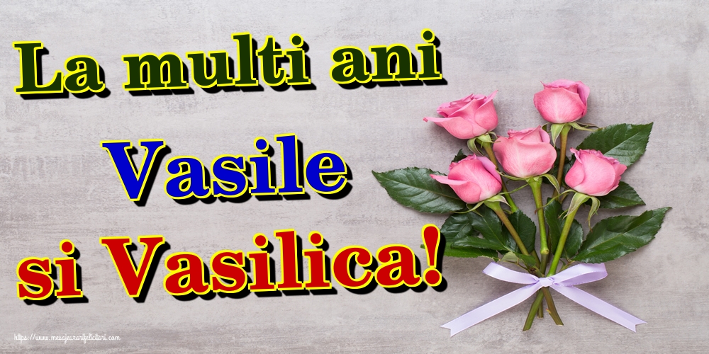 La multi ani Vasile si Vasilica!