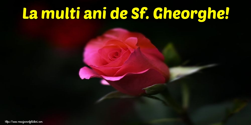 Felicitari de Sfântul Gheorghe - La multi ani de Sf. Gheorghe! - mesajeurarifelicitari.com