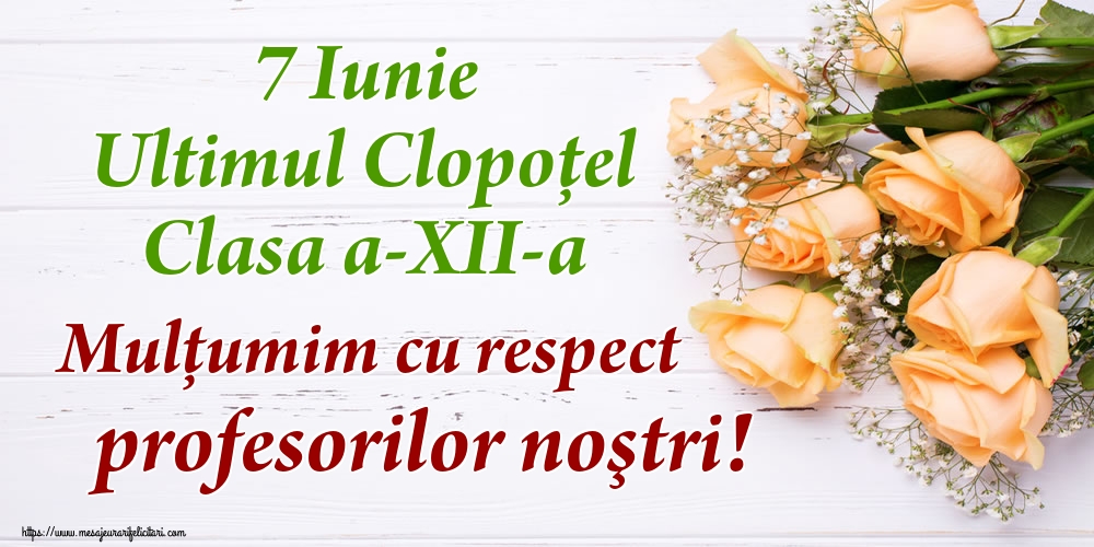 7 Iunie Ultimul Clopoţel Clasa a-XII-a Mulţumim cu respect profesorilor noştri!