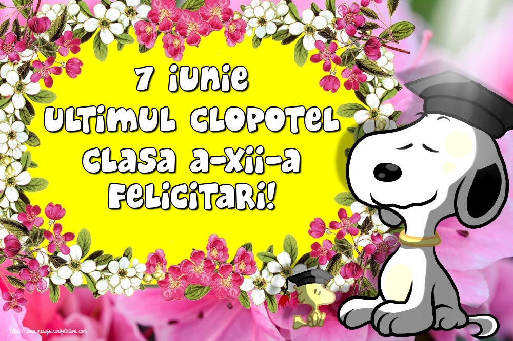 7 Iunie Ultimul Clopotel Clasa a-XII-a Felicitari!