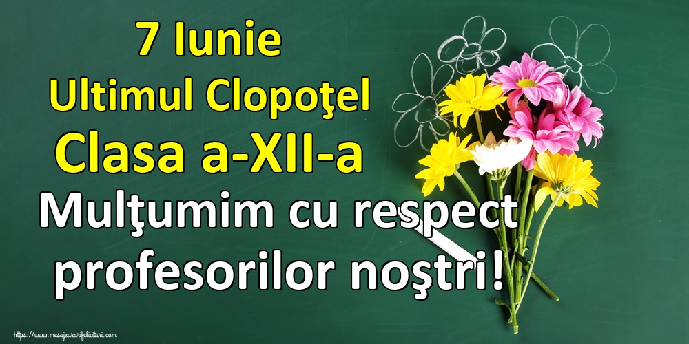 7 Iunie Ultimul Clopoţel Clasa a-XII-a Mulţumim cu respect profesorilor noştri!