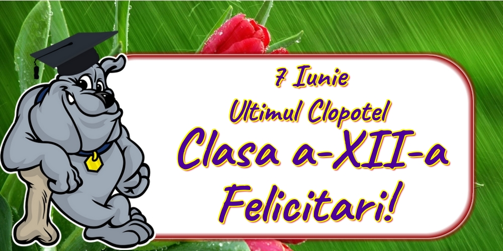 7 Iunie Ultimul Clopotel Clasa a-XII-a Felicitari!