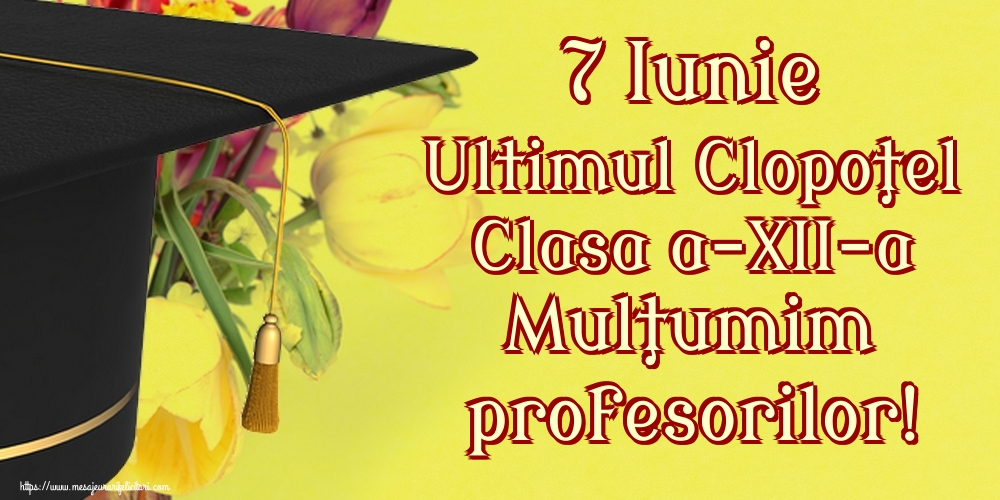 7 Iunie Ultimul Clopoţel Clasa a-XII-a Mulţumim profesorilor!