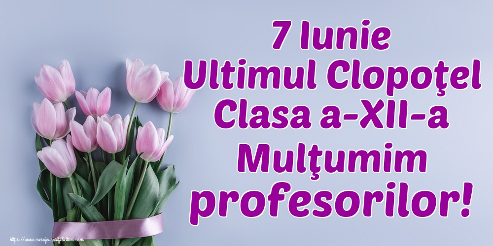 7 Iunie Ultimul Clopoţel Clasa a-XII-a Mulţumim profesorilor!