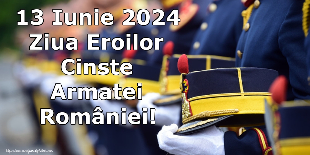 13 Iunie 2024 Ziua Eroilor Cinste Armatei României!