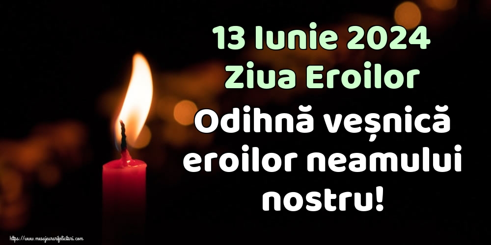 13 Iunie 2024 Ziua Eroilor Odihnă veșnică eroilor neamului nostru!