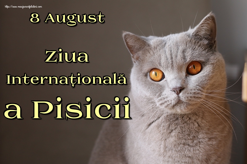Ziua Internațională a Pisicii 8 August Ziua Internațională a Pisicii