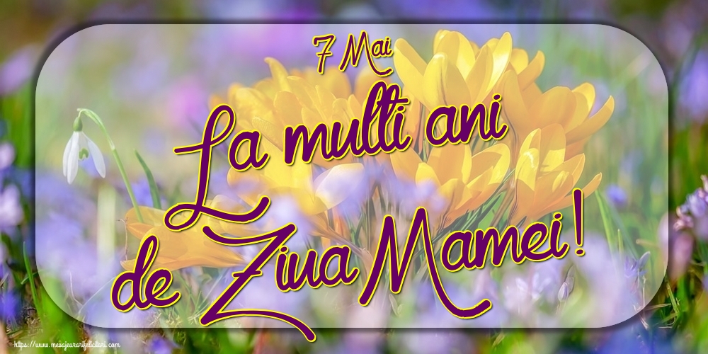 Felicitari de Ziua Mamei - 7 Mai La multi ani de Ziua Mamei! - mesajeurarifelicitari.com