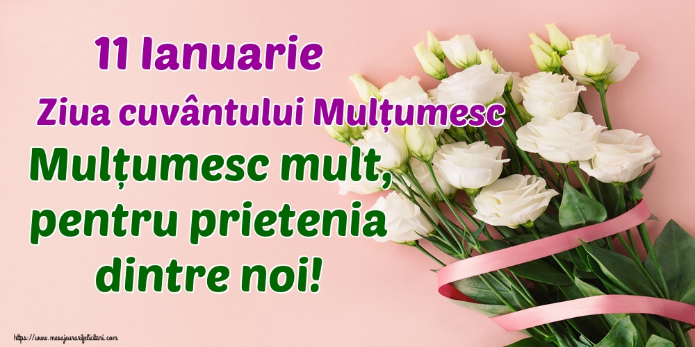 11 Ianuarie Ziua cuvântului Mulțumesc Mulțumesc mult, pentru prietenia dintre noi!