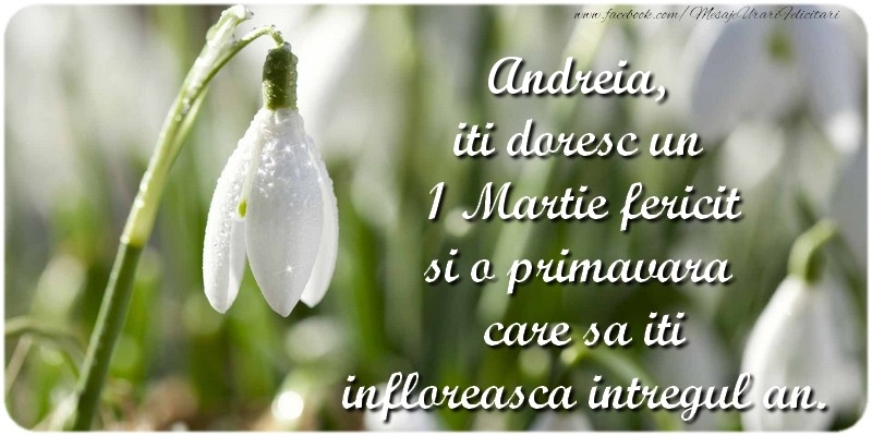  Felicitari de 1 Martie - Ghiocei | Andreia, iti doresc un 1 Martie fericit si o primavara care sa iti infloreasca intregul an.