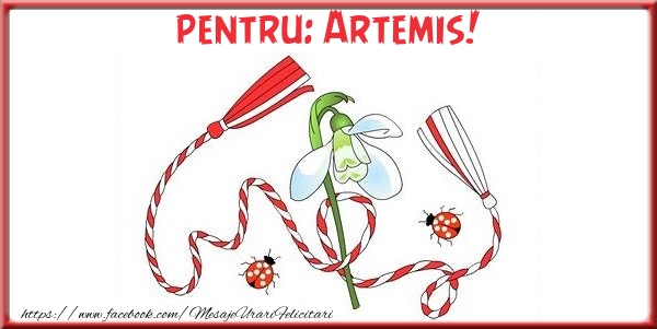 Felicitari de 1 Martie - Pentru Artemis!