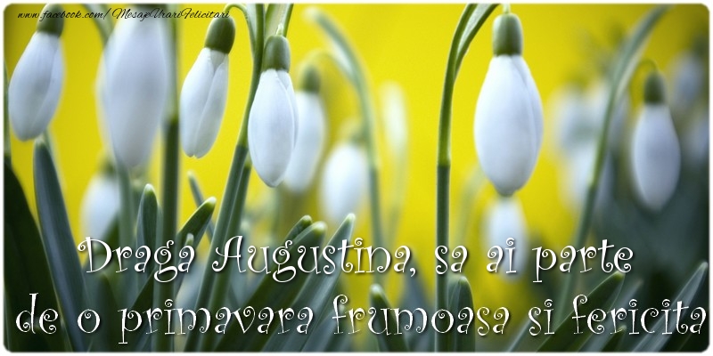  Felicitari de 1 Martie - Ghiocei | Draga Augustina, sa ai parte de o primavara frumoasa si fericita