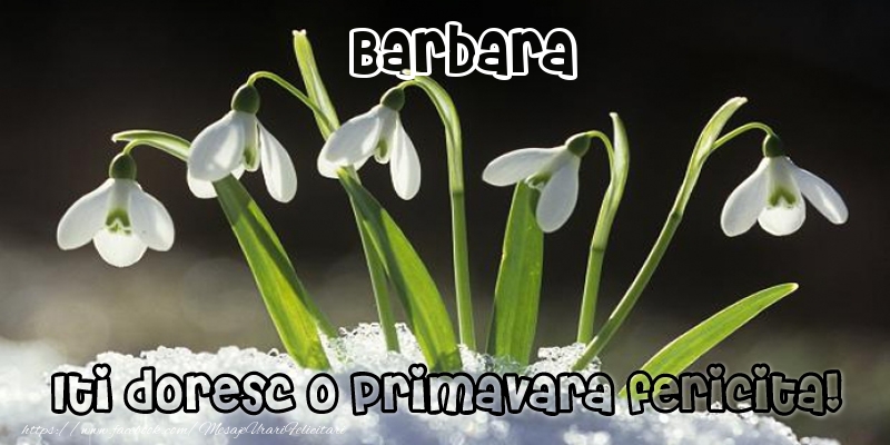  Felicitari de 1 Martie - Ghiocei | Barbara Iti doresc o primavara fericita!