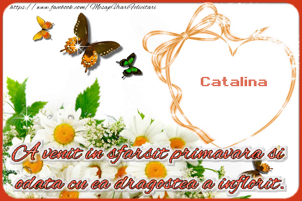Felicitari de 1 Martie - ❤️❤️❤️ Flori & Inimioare | Catalina