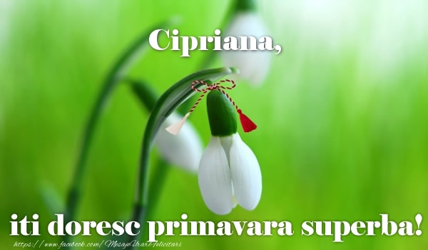  Felicitari de 1 Martie - Ghiocei | Cipriana iti doresc primavara superba!