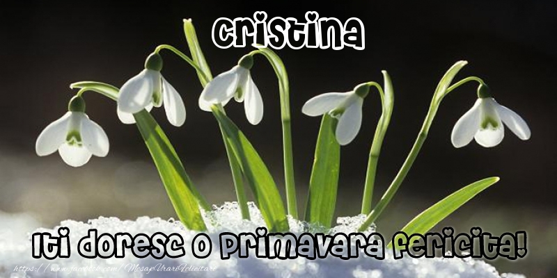 Felicitari de 1 Martie - Ghiocei | Cristina Iti doresc o primavara fericita!