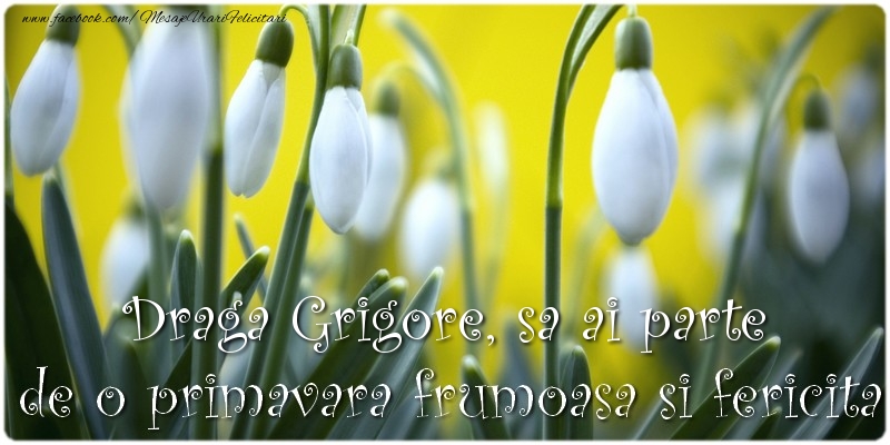  Felicitari de 1 Martie - Ghiocei | Draga Grigore, sa ai parte de o primavara frumoasa si fericita