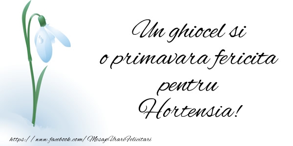  Felicitari de 1 Martie - Ghiocei | Un ghiocel si o primavara fericita pentru Hortensia!