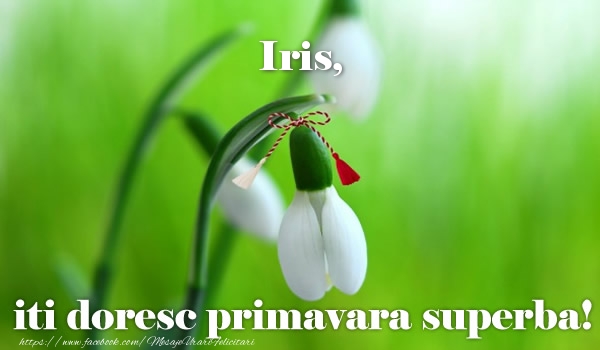  Felicitari de 1 Martie - Ghiocei | Iris iti doresc primavara superba!